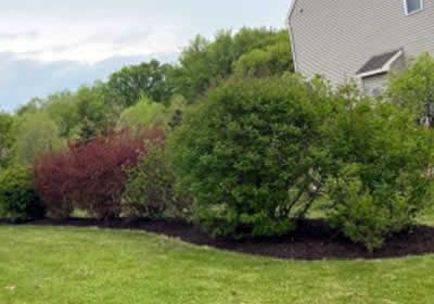 Commercial Property Cleanups
