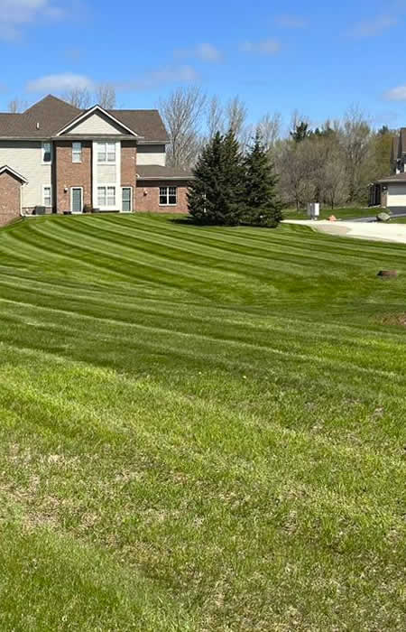 Request Property Cleanup Services in West Bend