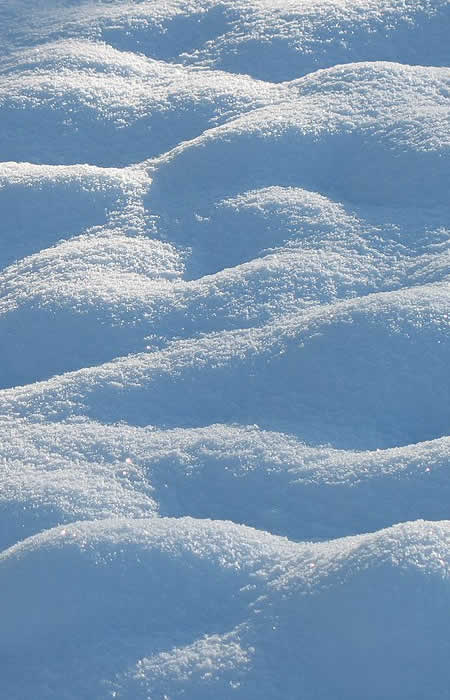 Request Snow Removal Services