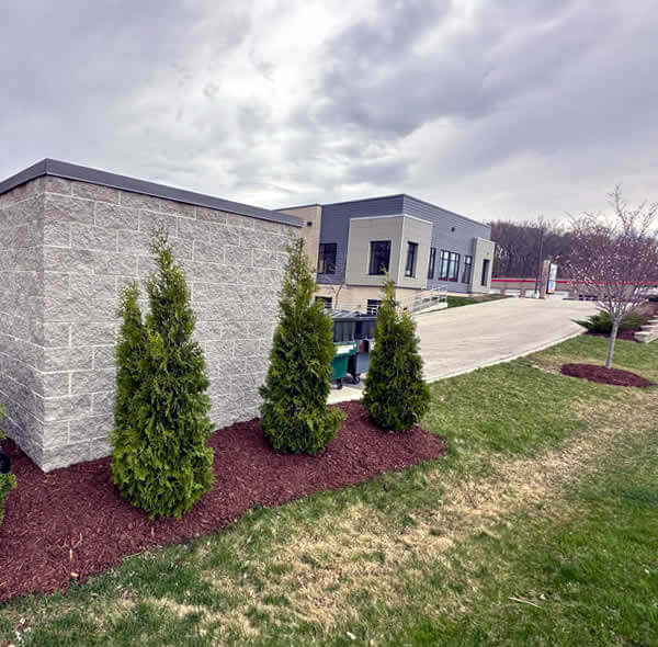 Mulch and Tree Planting Landscape Installation