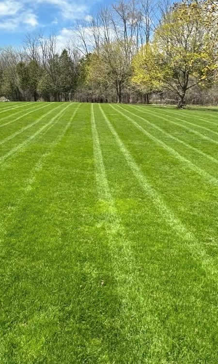 commercial-lawn-maintenance-services